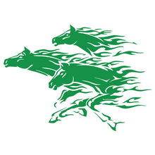 Load image into Gallery viewer, Horses Wall Art Decals Waterpoof Peel & Stick Vinyl
