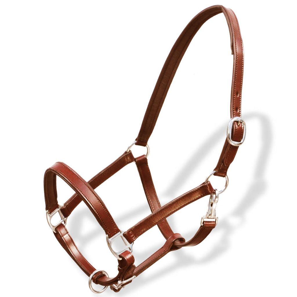 Leather Halter