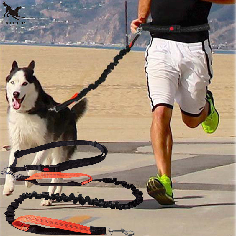 Dog Leash for Jogging