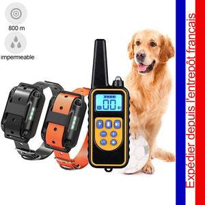 Dog Correction Collar